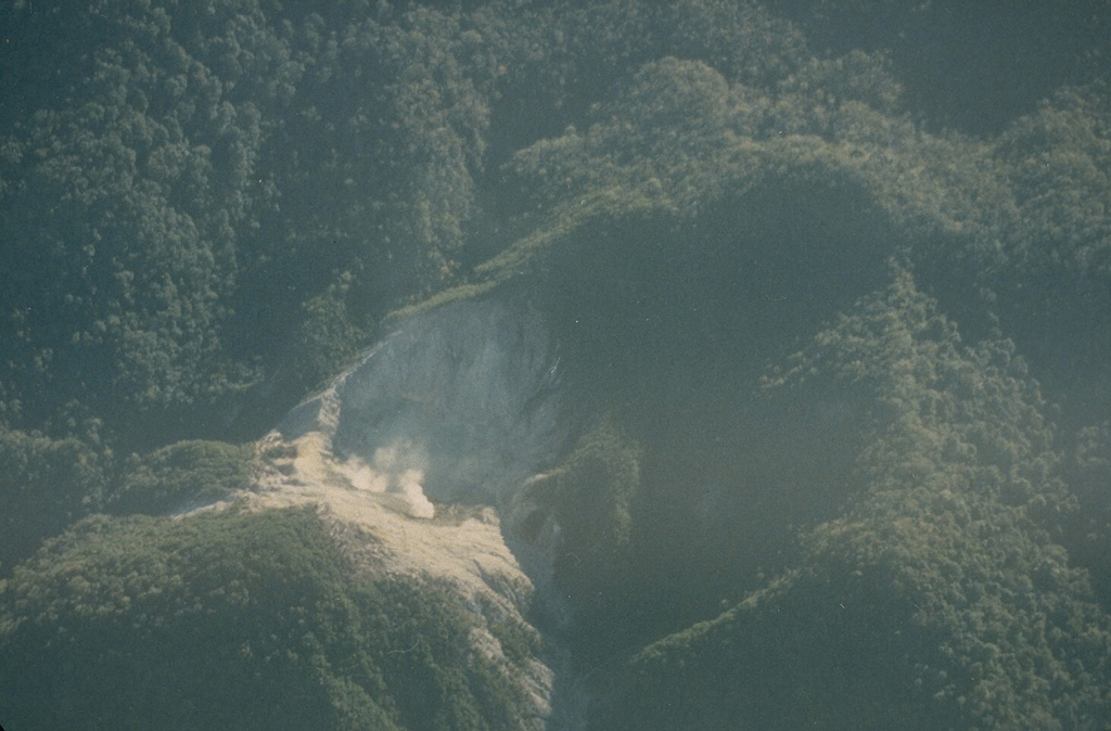 A possible new crater about 6 km SE of the summit of Patah volcano was observed by the pilot of a British cargo aircraft in 1989 in an area commonly obscured by clouds. Two small plumes were observed rising from the 150-m-wide crater. Photo by Michael Savill, 1989.