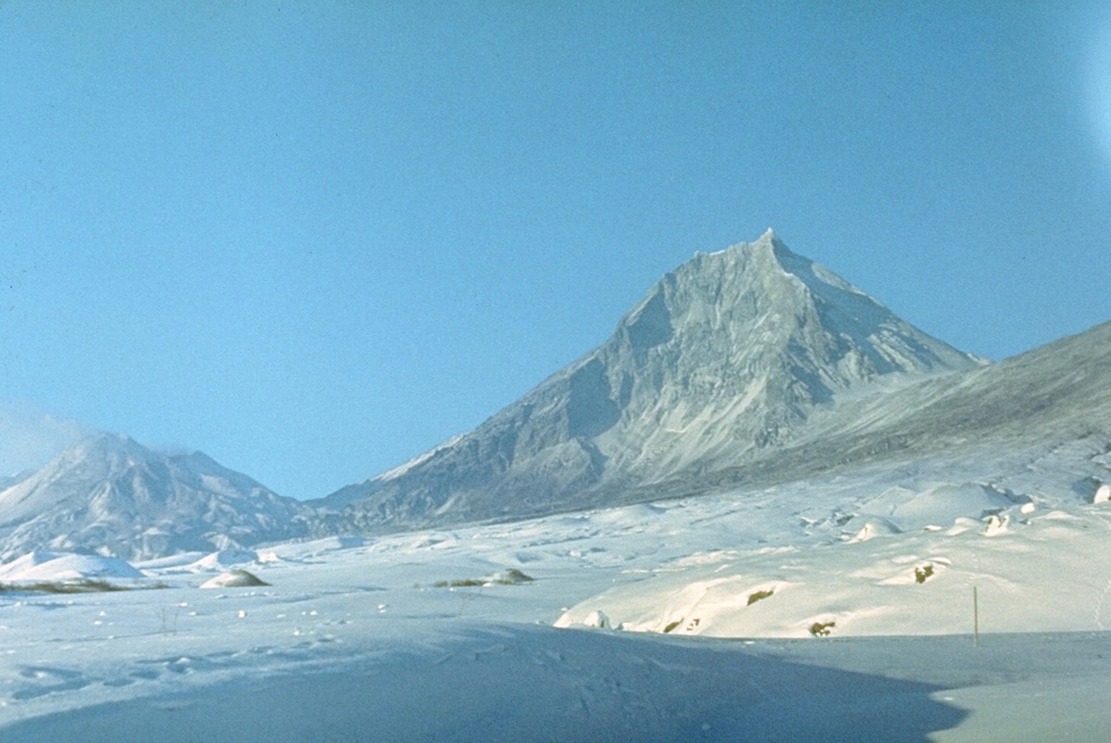 Kamen, seen here from the NE, is a steep-sided stratovolcano of largely Pleistocene age that rises immediately to the north of frequently active Bezymianny volcano (left). The summit of Kamen collapsed about 1,200 years ago, producing a massive debris avalanche to the east, and leaving the steep escarpment that forms the east face of the edifice.  Photo by E.Y. Zhdanova (courtesy of Oleg Volynets, Institute of Volcanology, Petropavlovsk).