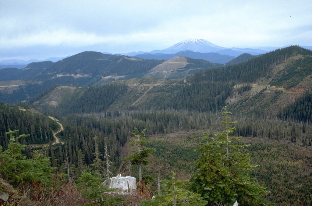 The valley floor in the foreground of this area of extensive logging SE of Mount St. Helens, in the distance, is covered by lava flows from West Crater and the Hackamore Creek scoria cone just NW of West Crater. Carbon fragments from a black tephra deposit produced by the Hackamore Creek scoria cone were dated to about 8,000 years. Photo by Lee Siebert, 1995 (Smithsonian Institution).