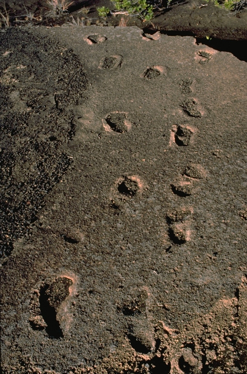 These footprints in hardened ash are those of Hawaiian warriors and their families who were crossing the Kau Desert, SW of Kilauea caldera, at the time of a violent explosive eruption in 1790.  The eruption produced pyroclastic surges that killed 80-100 people.  The rest of the party of 250 warriors and family members survived, leaving these and other footprints in the muddy ash.  Explosive eruptions are not unknown at Kilauea.  They have occurred on several occasions when collapse of the summit allowed groundwater access to the magma column. Copyrighted photo by Katia and Maurice Krafft, 1987.