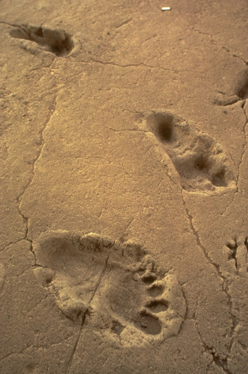 An archaeological site at Acahualinca near Managua exposes human footprints that were covered by voluminous pumice-fall deposits from Apoyeque volcano.  The footprints are older than the overlying ca. 6500 yrs Before Present (BP) Jiloa Pumice and may occur within a ca. 7500 yrs BP mudflow deposit from Masaya volcano and thus range between about 6500 and 7500 yrs BP.  These renowned footprints are the oldest indication of human habitation in the Managua area. Photo by Jaime Incer.