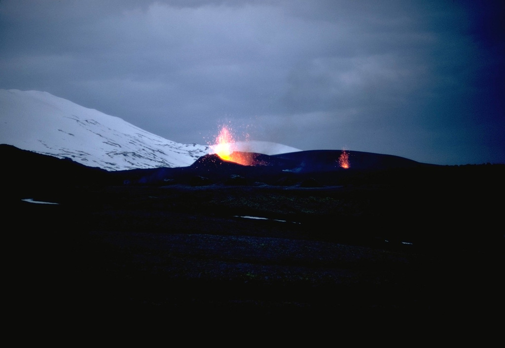 On 5 May 1970 fissures opened on the SSW, W, and NNE flanks of Hekla. An eruption plume reached nearly 16 km high, and fountaining fed lava flows to the SW, WNW, and N. Two eruptive fissures were active on the NE flank, seen here with minor Strombolian activity; these produced lava flows that traveled 6 km N. The N-flank lava flow remained active until 5 July. Photo by Robert Citron, 1970 (Smithsonian Institution; courtesy of William Melson)