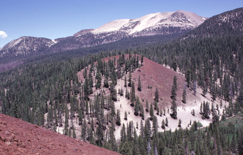 Mammoth Mountain, a Pleistocene trachydacitic lava-dome complex constructed on the SW topographic rim of the Long Valley caldera between about 200,000 and 50,000 years ago, forms the broad peak on the horizon.  The Red Cones (center and lower left) are part of series of about three dozen mafic cones surrounding Mammoth Mountain.  The oxidized reddish scoria of the cone, which was formed during the early Holocene, is mantled at its base by light-colored pumice erupted from the Inyo Craters about 650 years ago.   Photo by Lee Siebert, 1998 (Smithsonian Institution)