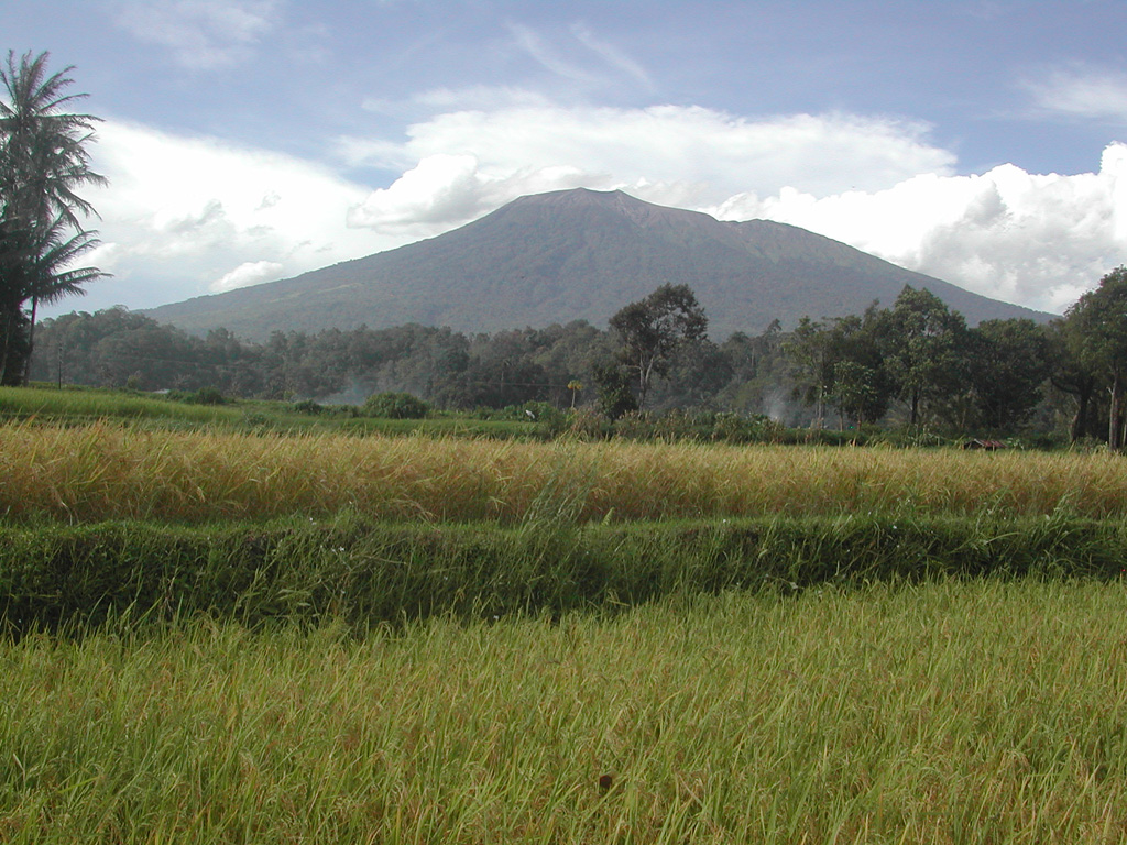 Marapi, seen here in front of above rice fields, is Sumatra's most active volcano. More than 50 small-to-moderate explosive eruptions have occurred since the end of the 18th century. Marapi, not to be confused with the more well-known Merapi volcano on Java, has multiple summit craters and reaches 2,000 m above the Padang Highlands in central Sumatra. Photo by Amin, 2003 (Centre of Volcanology & Geological Hazard Mitigation, Volcanological Survey of Indonesia).