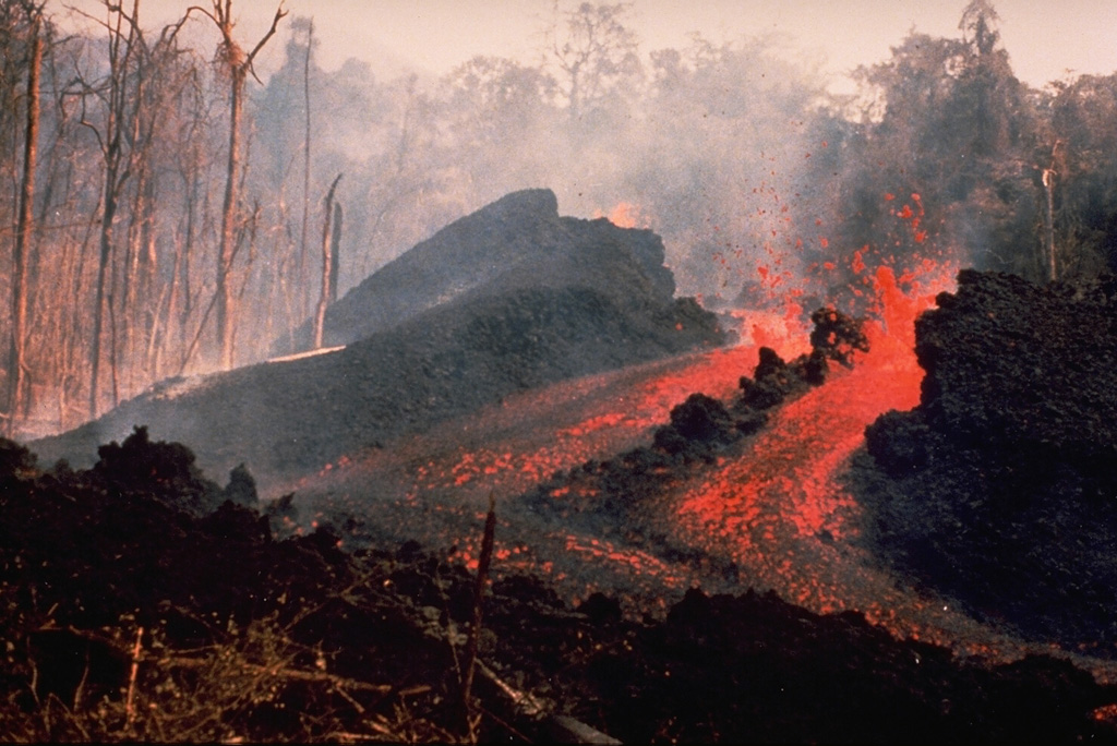 An E-flank fissure located 5 km from the summit produced an incandescent lava flow during 10-14 May 1978 that traveled 6 km to the Pandi River. Explosive activity took place from the summit crater of Ulawun over 7-13 May, accompanied by pyroclastic flows from a fissure high on the SE flank on 9 May. At least a dozen vents were active during this eruption.  Photo by K. Spellmeyer, 1978 (courtesy of Wally Johnson, Australia Bureau of Mineral Resources).
