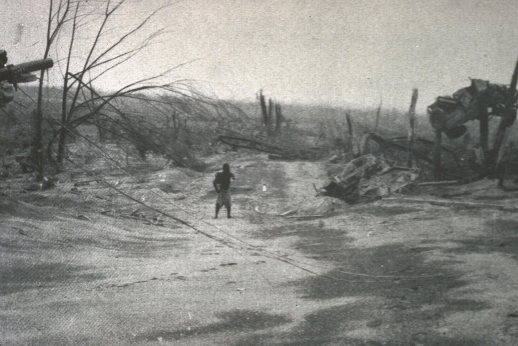 The vehicle to the right was suspended 3 m above the ground between the tops of two broken trees by the devastating pyroclastic surges of the 21 January 1951 eruption of Mount Lamington. The vehicle was located in the village of Higaturu, 10 km N of the volcano. Velocities of the pyroclastic surges were estimated to be in excess of 120 km per hour. The high-temperature surges destroyed the village, removing houses from their foundations and demolishing a steel-framed hospital building. Photo by Tony Taylor, 1951 (Australia Bureau of Mineral Resources).