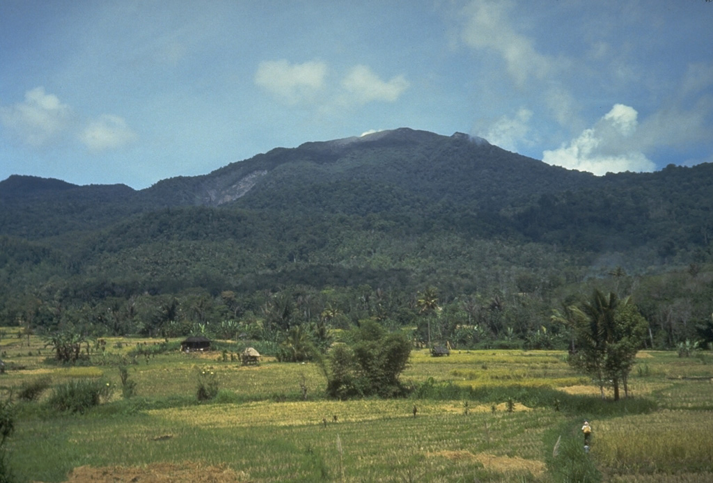 Sorikmarapi, seen here from the west, is a forested stratovolcano with a 600-m-wide summit crater containing a crater lake and substantial sulfur deposits. Another crater lake is located on the upper SE flank and several small craters occur within the main crater and on the outer flanks. Small explosive eruptions have been documented from summit and flank vents in the 19th and 20th centuries. Photo by Tom Casadevall, 1987 (U.S. Geological Survey).