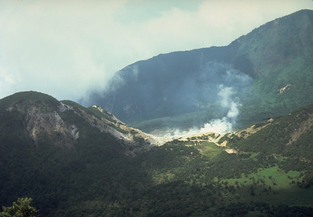 A plume rises above the Kawah Mas thermal area in the crater of Papandayan volcano. This view from the NW shows Gunung Warirang at the left and the eastern wall of the Papandayan crater in the background. The 1772 debris avalanche traveled to the NE down the valley at the left.  Photo by Tom Casadevall, 1986 (U.S. Geological Survey).