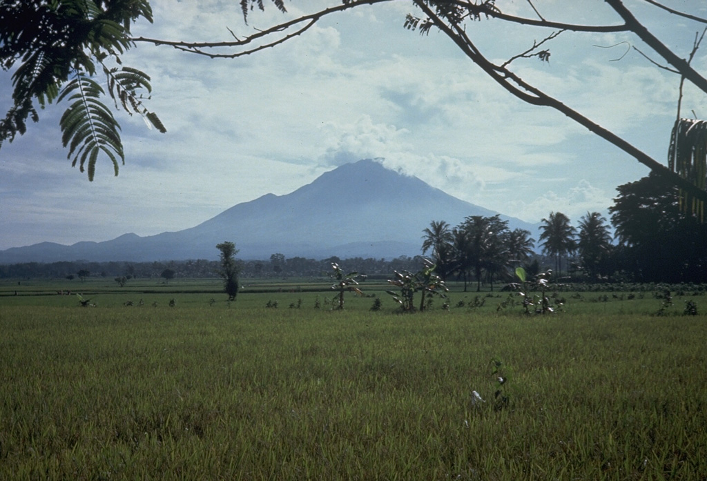 Lamongan volcano is located between the Tengger and Iyang-Argapura volcanic complexes. A cluster of 27 maars, many filled by lakes, and 37 scoria cones surround the volcano. Tarub is the volcano's highest peak to the left. Lamongan was frequently active during the 19th century, producing both explosive eruptions and lava flows. Photo by Tom Casadevall, 1987 (U.S. Geological Survey).