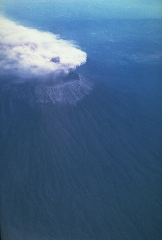 Ash plume rose above Raung volcano on 10 and 12 September, and 3 October 1991. Although the initial report was of flank vent activity, photographs such as this one on 12 September taken from the south, show the eruption occurring at the summit caldera and the plume being dispersed by the wind to the NW. Photo by Jeff Post, 1991 (Smithsonian Institution).