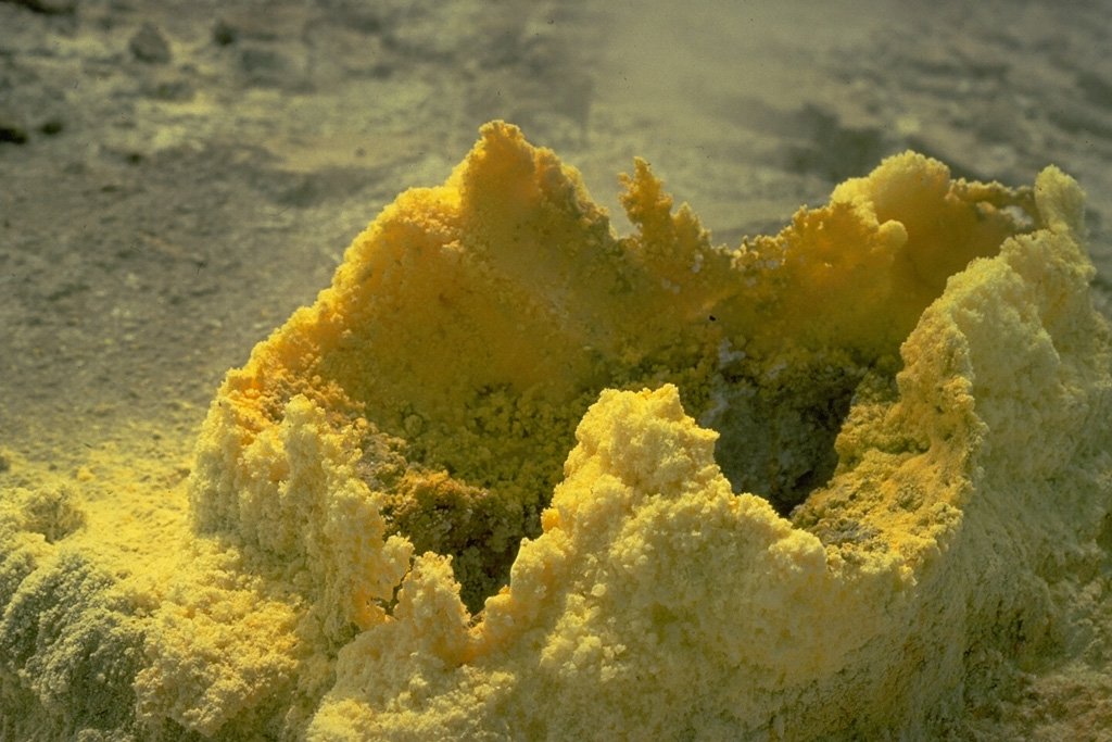 Brilliant yellow sulfur crystals are deposited around a fumarole vent in Indonesia's Kawah Ijen, a crater within the Ijen caldera at the eastern tip of the island of Java.  Sulfur is deposited over broad areas around the Kawah Ijen crater lake and is mined for elemental sulfur. Copyrighted photo by Katia and Maurice Krafft, 1976.