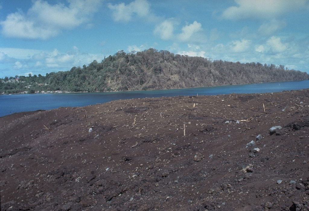 Vegetation in the foreground and on the western tip of Lonthur Island in the background was destroyed and scorched by a directed blast produced by temporary deflection of the vertical plinian eruption column on May 9, 1988.  Witnesses reported that at 11:30 am "the entire eruption column bent sidways towards the south," probably as a result of slumping of the uphill slope onto the vent.  About 2 cm of tephra was deposited on Lonthur Island, but the village of Lonthur (left) was spared. Photo by Tom Casadevall, 1988 (U.S. Geological Survey).