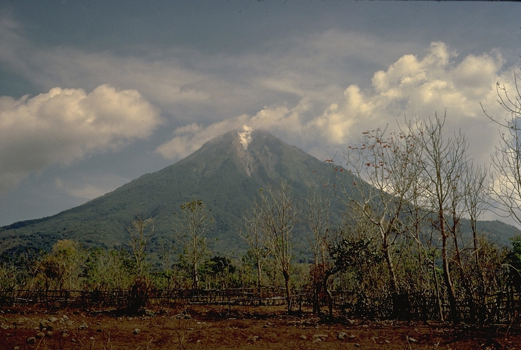 Ebulobo (also known as Amburombu or Keo Peak) is a symmetrical 2124-m-high stratovolcano in central Flores Island.  A flat-topped lava dome fills the 250-m-wide summit crater.  The first historical eruption of Ebulobo in 1830 produced a lava flow down the north flank. Copyrighted photo by Katia and Maurice Krafft, 1971.