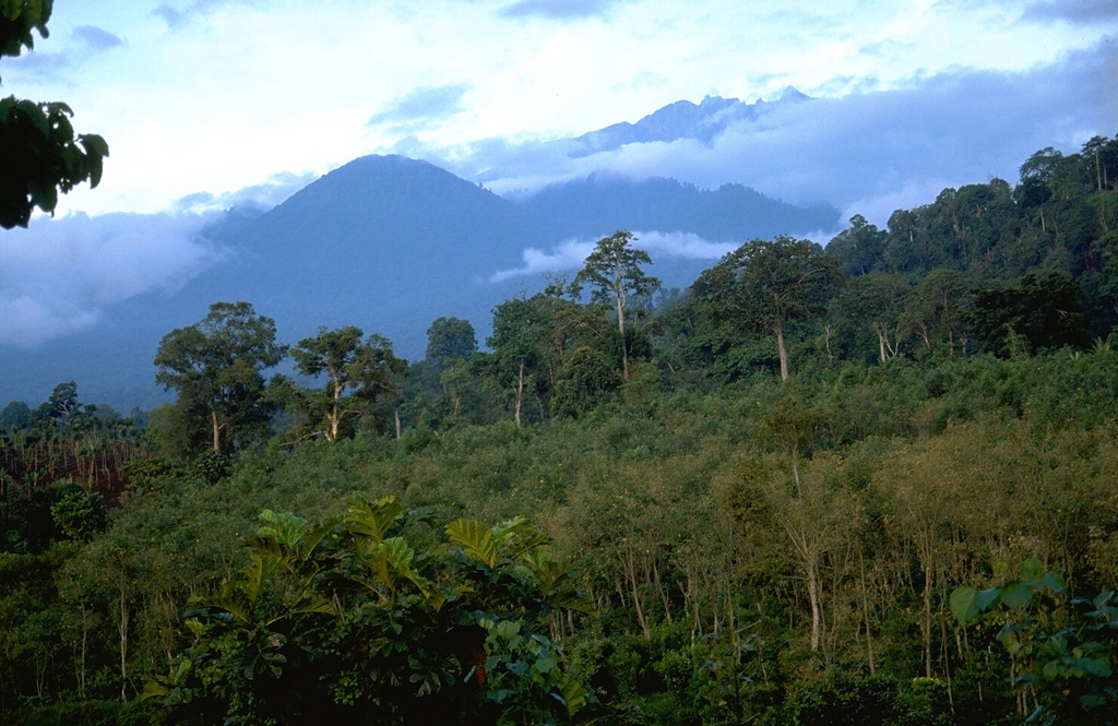 This view from the west flank of Raung volcano shows the rounded forested peak of Gunung Pajungan (left center), which grew near the headwall of the horseshoe-shaped scar produced by gravitational collapse of Gunung Gadung. Behind it, above the clouds, is the rim of the historically active summit caldera of Raung volcano. Photo by Lee Siebert, 1995 (Smithsonian Institution).