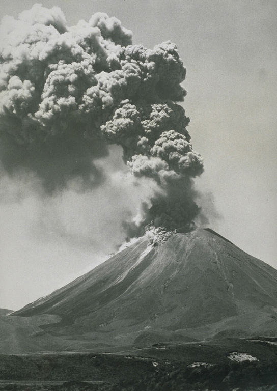 An ash plume rises above Ngauruhoe volcano on 26 January 1974 in this view from the W. Small pyroclastic flows descend the upper flanks of the cone. Eruptions during 26-28 January and 27-29 March 1974 were the most powerful at Ngauruhoe in two decades. Explosive activity had been occurring since November 1972 and lasted until August 1974. The dark streaks descending to the base of the cone to the left are lava flows from the 1954 eruption. Photo by D.L. Homer, 1974 (New Zealand Geological Survey).
