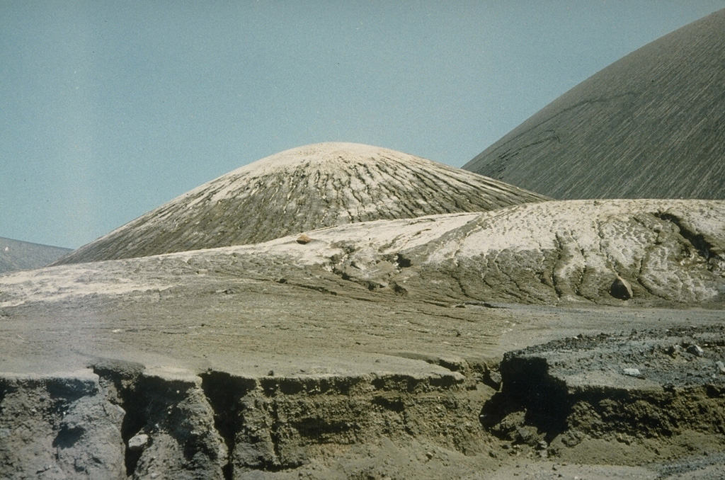 Light-colored volcanic ash from the 1991 eruption mantles the surface of a lava flow from the same eruption, and the scoria cone in the center of the photo. The slopes of the central cone, the source of the ashfall, is the larger feature to the right. Photo courtesy of D. Haldar, 1991 (Geological Survey of India).