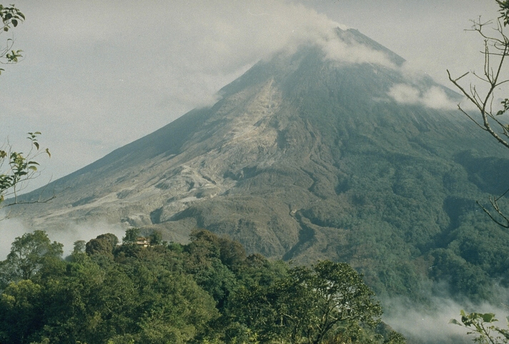 This photo was taken the day after devastating pyroclastic flows swept down the south flank of Merapi in 1994. The lighter area to the left shows where the pyroclastic flows descended the flank. The darker-brown areas to the right of the pyroclastic-flow deposits are trees that were scorched by pyroclastic surge clouds. Sixty-four people were killed by these pyroclastic surges in a village near the location of this photo. Photo by Yustinus Sulistiyo, 1994 (Volcanological Survey of Indonesia).