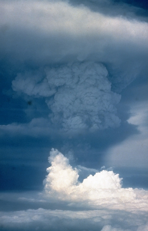 An ash plume towers above Pagan volcano on 18 May 1981, three days after the onset of the eruption. The initial eruption on 15 May produced ash plumes that rose to estimated heights of 16-20 km. Three vents along a fissure formed across the summit on 15 May. An upper NE flank cone produced a new scoria cone, and vents on the N and S summit crater rims produced lava flows that traveled down the flanks. Intermittent explosive activity continued until 1985. Photo by Gary Haust, 1981 (courtesy Norm Banks, U.S. Geological Survey).