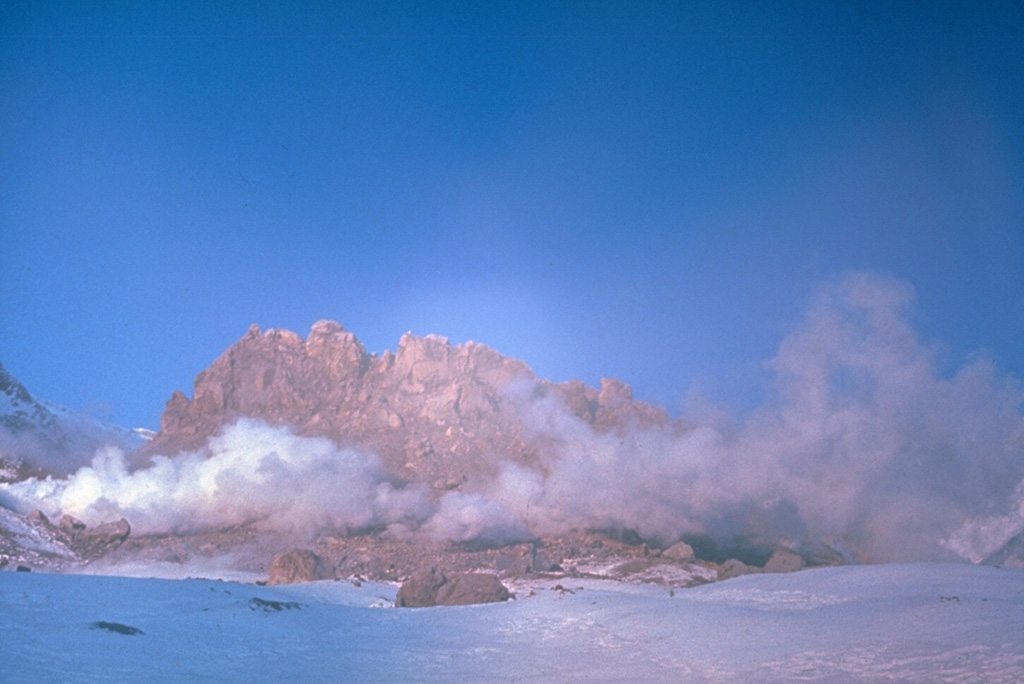 Nearly 16 years after the previous eruption of Sheveluch in 1964, lava dome extrusion began on 23 August 1980. Dome growth accompanied by minor explosions and avalanches took place at the location of an older dome in the 1964 crater, and continued until the end of 1981. This November 1980 photo shows gas rising from the base of the new dome, which by this time was about 170 m high and 300 m wide. Photo by Yuri Doubik, 1980 (Institute of Volcanology, Petropavlovsk).