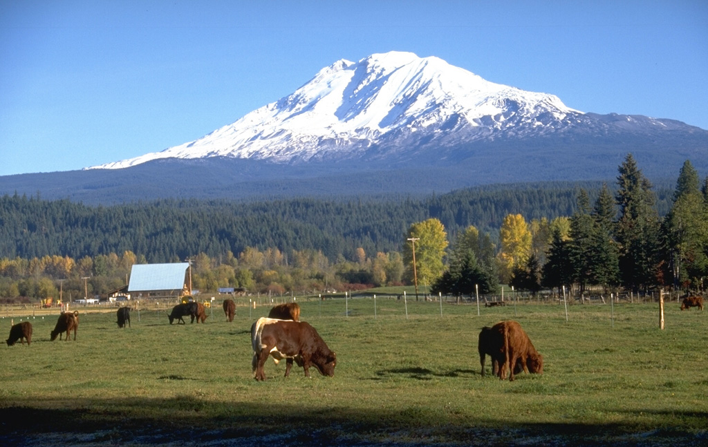 The farmlands of the Trout Lake valley SW of Mount Adams are underlain by a massive lahar produced by collapse of the upper SW flank of Adams about 6,000 years ago. Altered rocks up to several meters in diameter that originated from near the summit of the volcano littered the surface of the deposit, which covered 15 km2 of the Trout Lake lowland and reached as far as 60 km to the south. The source of the mudflow was a debris avalanche from the upper White Salmon glacier area, just left of the shadow beneath the summit. Photo by Lee Siebert, 1995 (Smithsonian Institution).