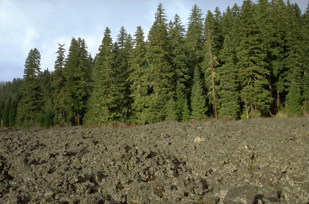 A lava flow, still largely unvegetated, was emplaced about 3,850 years ago from Nash Crater in the Sand Mountain volcanic field of the central Oregon Cascades. This and contemporaneous lava flows blocked local drainages, forming Lava Lake and Fish Lake. Photo by Lee Siebert, 1995 (Smithsonian Institution).