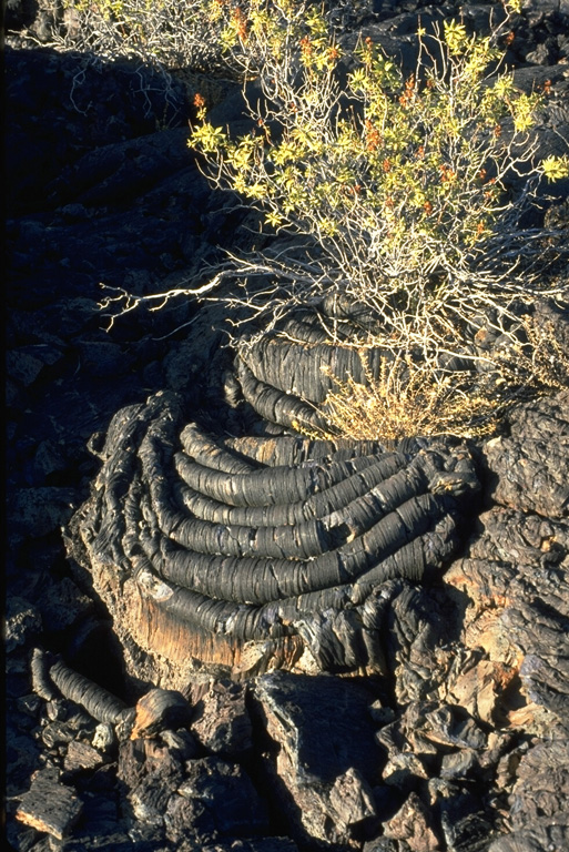 The ropy surface of pahoehoe lava flows is the dominant lava type at Craters of the Moon.  The pahoehoe flows were typically erupted through lava tubes and tube systems.  Locally collapse of tube roofs has formed skylights and entrances to lava  tunnels that are popular among visitors to the national monument. Photo by Lee Siebert, 1994 (Smithsonian Institution).