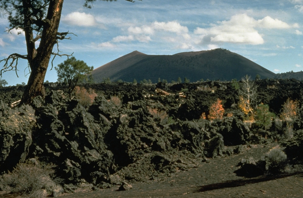 The Sunset Crater eruption is considered from paleomagnetic evidence to have begun about 1080-1150 CE.  The Bonito lava flow in the foreground originated from Sunset Crater, the cinder cone in the background.  The Sunset Crater eruption produced a blanket of ash and lapilli covering an area of more than 2100 km2 and forced the abandonment of settlements of the indigenous Sinagua Indians. Photo by Ed Wolfe, 1977 (U.S. Geological Survey).