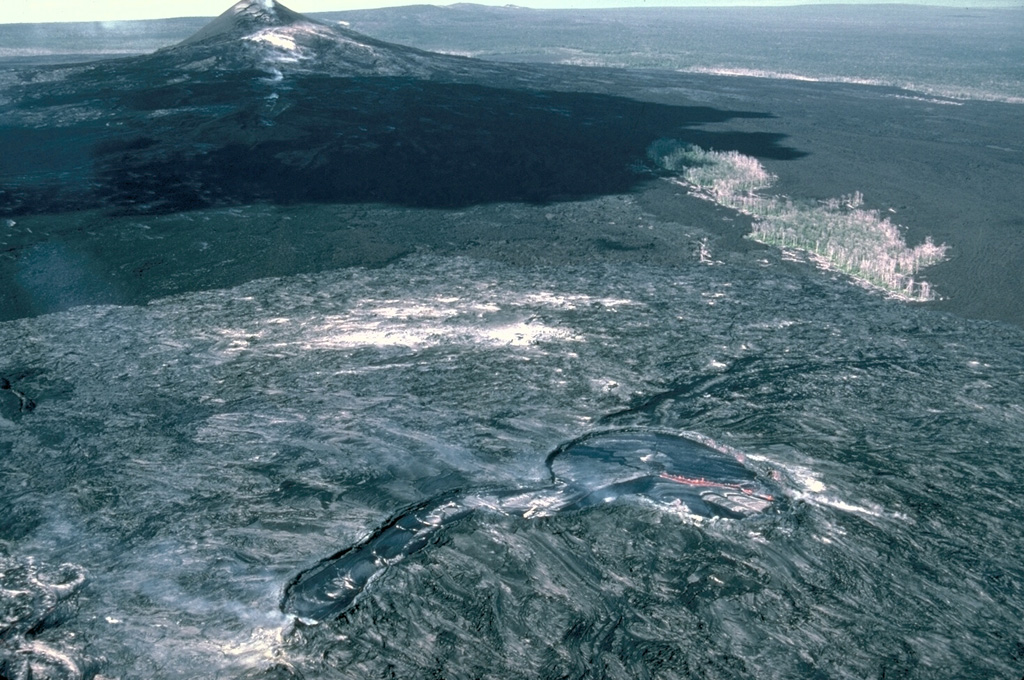 This 13 January 1987 view from the east shows the principal vents of the current eruption on Kilauea's East Rift Zone, taken four years after the start of the eruption. The Pu‘u ‘Ō‘ō scoria cone to the left formed during the early stages of the eruption. Kūpaianaha to the lower right contains an actively convecting lava lake in this photo. The linear extension in the center foreground is at the head of a lava tube system, which insulated lava flows that reached the coast.   Photo by J.D. Griggs, 1987 (U.S. Geological Survey).