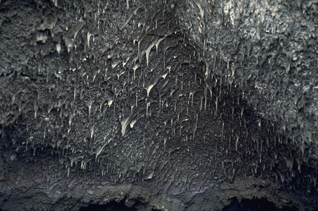 Lava stalactites are abundant on the ceiling of a 1984 fissure within the Mauna Loa Moku’aweoweo caldera. They formed when molten lava was flowing through, dripping and solidifying as they cooled. This section of the 1984 fissure erupted through the 1949 scoria cone located on the SW caldera rim.  Photo by Paul Kimberly, 1994 (Smithsonian Institution).