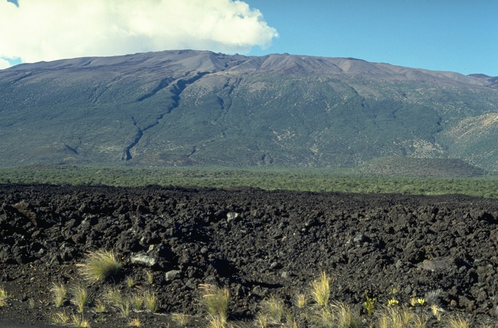 Mauna Kea is seen here from the S at the broad Humu'ulu Saddle between Mauna Kea and Mauna Loa. The lava flow in the foreground was emplaced during an 1843 eruption that originated on the NE rift zone of Mauna Loa. The flow traveled directly N to the Mauna Kea saddle, where it was deflected to the W. The irregular profile of the summit region of Mauna Kea is due to scoria cones and pyroclastic ejecta that are not present at Mauna Loa. Photo by Paul Kimberly, 1994 (Smithsonian Institution).
