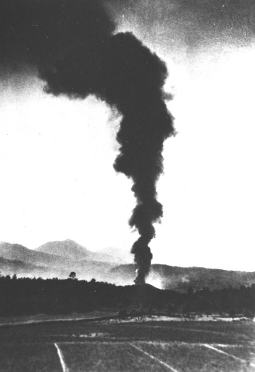 An ash plume rises above the new Parícutin cone on 21 February 1943, the second day of the eruption. The new cone is about 30 m high and is just rising above the treetops in this view from the NE. During this early stage the cone had  slope angles of 32 degrees toward the west and lower angles to the east. At this point lava had begun flowing to the east. Photo by Salvador Ceja, 1943 (U.S. National Archives, published in Luhr and Simkin, 1993).