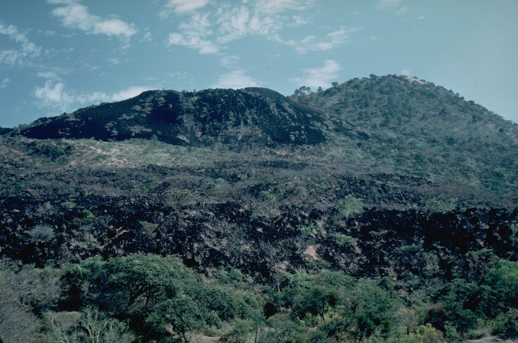 The most recent lava flows of the 1759-74 Jorullo eruption appear in the left and foreground of this view from the north with the sparsely vegetated cone of Jorullo to the upper right. Unlike earlier lava flows that were covered with ashfall from explosive eruptions, this latest does not and remains relatively unvegetated in this 1982 photo. Lava flows were erupted from NE-SW-trending flank vents and covered an area of 9 km2. Photo by Jim Luhr, 1982 (Smithsonian Institution).