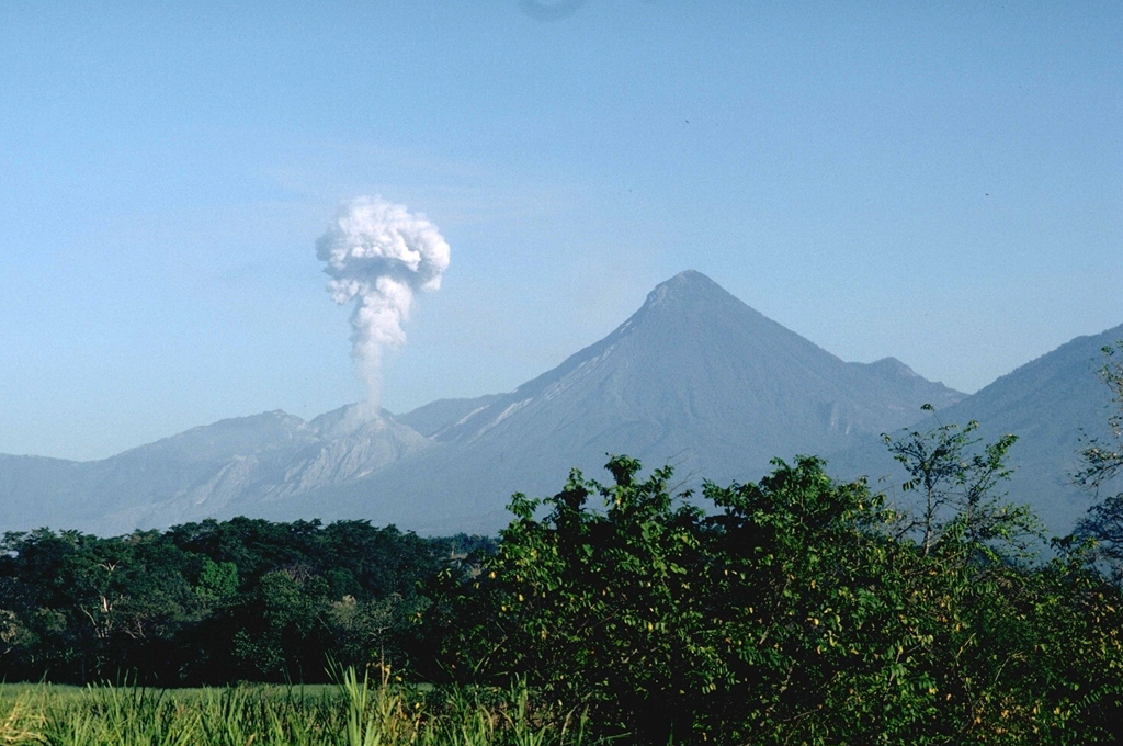 An ash plume rises above the Santiaguito lava dome in March 1988. Explosive eruptions such as these are typical of the growing lava dome since activity began in 1922. The dome was constructed at the base of a large crater, seen here in profile from the Pacific coastal plain to the SE. The crater formed low on the SW flank and extended almost to the summit. Photo by Lee Siebert, 1988 (Smithsonian Institution).