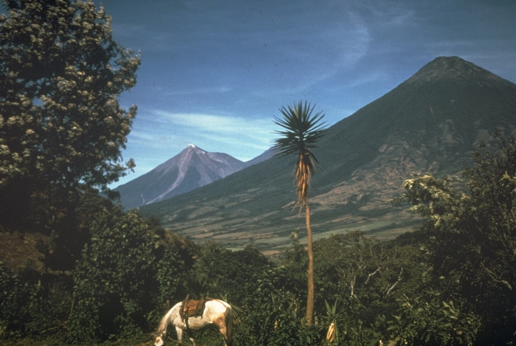 Volcán de Agua, seen here from the NE, is the most prominent volcano visible from Guatemala City. Fuego volcano in the background has been much more active historically.  Photo by Mike Carr, 1967 (Rutgers University).