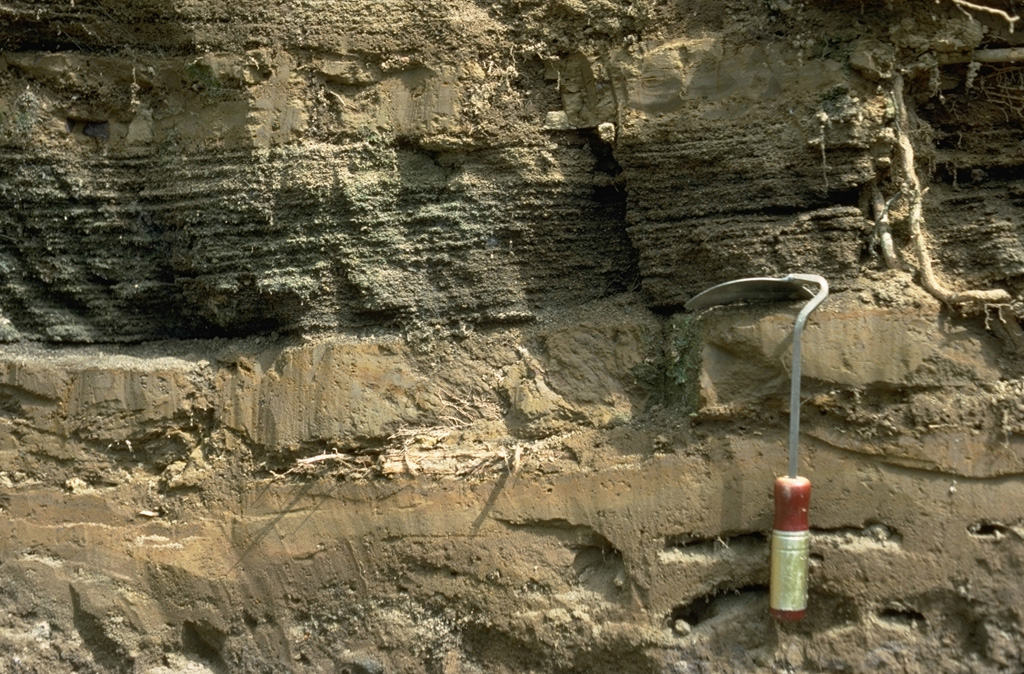 These fine-grained ash layers and coarser laminated scoria-bearing layers were deposited by pyroclastic surges following collapse of the summit of Pacaya. This surge deposit overlies the avalanche deposit and the topography in a 90 degree arc as far as 10 km SW of the summit.  Photo by Lee Siebert, 1988 (Smithsonian Institution).