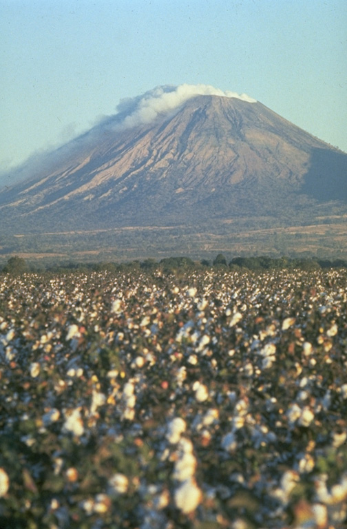 San Cristóbal volcano, one of the most dramatic landmarks in Nicaragua, rises to 1745 m above cotton fields on its southern flank.  This 1975 view of the volcano, also known as El Viejo, shows a strong gas plume drifting down its western flank.  Persistent fuming has released large amounts of sulfur dioxide, destroying forests on this side of the volcano; the gas plume was strong enough to corrode barbed wire.  Lava flows and explosive activity have occurred from lateral vents as well as from the large summit crater. Photo by Jaime Incer, 1975.