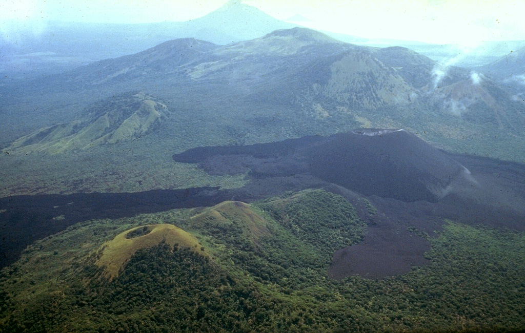 Both the closer part of the compound lava flow extending to the left margin of the photo beyond the vegetated Cerro la Mula cone at the lower left as well as the lighter-colored lava flow directly in front of Cerro Negro were emplaced during a major eruption in 1923.  Cerro Negro erupted for seven weeks beginning October 23, 1923.  Intense explosive activity increased the height of the cone to 300 m and left a 60-m-wide crater.  The broad massif behind Cerro Negro is the Las Pilas complex, and conical Momotombo stratovolcano is in the background to the SE.   Photo by Jaime Incer, 1980.