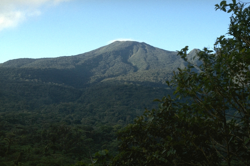 Vegetation covers overlapping lava flows that descend the NE flank of the Tenorio volcanic complex. The summit of Volcán Tenorio, the highest peak of the complex, has two small craters. Photo by William Melson, 1985 (Smithsonian Institution).