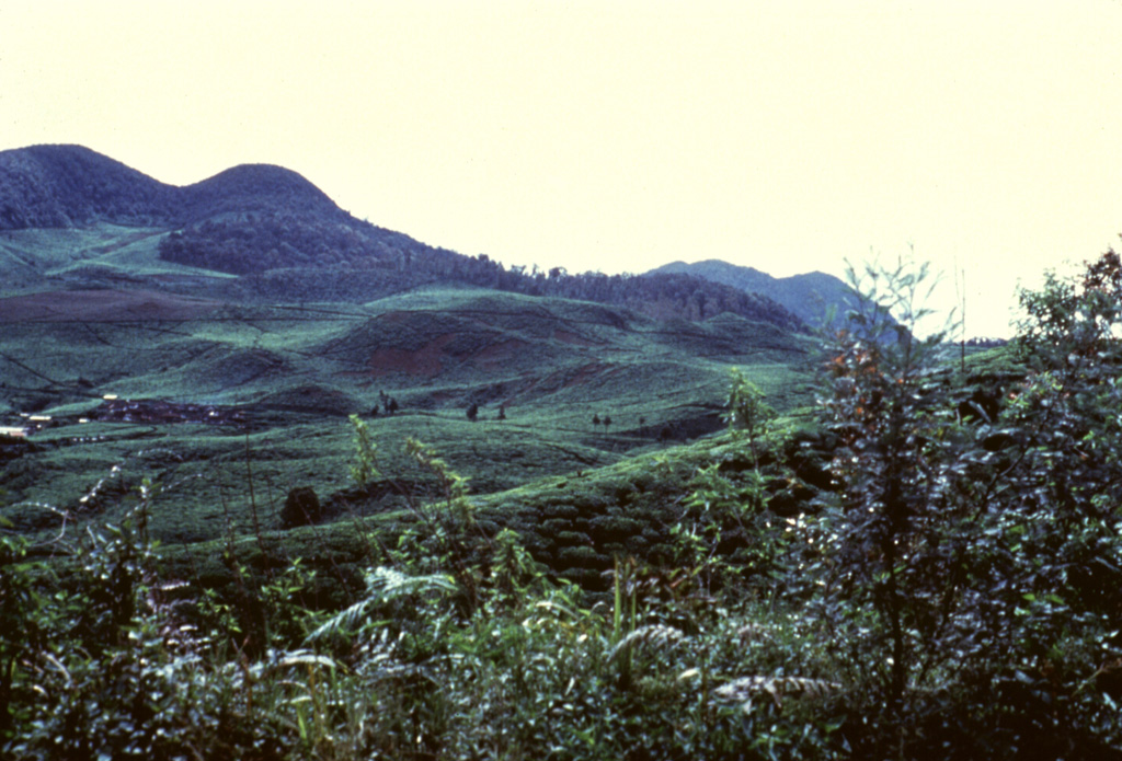 The forested Gunung Patuha rises SW of the Bandung plain. The volcano, viewed here from the NW with the Rancabali lava flow in the foreground, contains two summit craters 600 m apart along a NW-SE line. The SE crater, Kawah Putih, is mined for sulfur.  Anonymous, 1985.