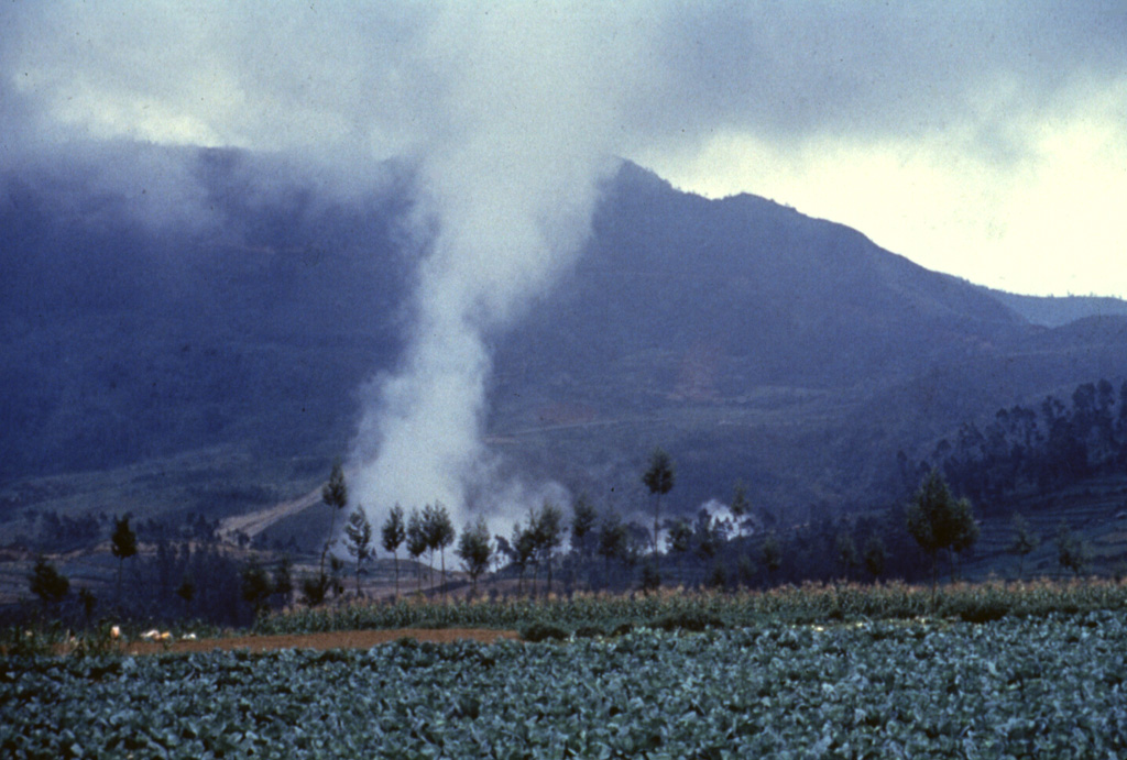 A plume rises above Kawah Sileri crater in the Dieng volcanic complex, one of many Dieng craters to have erupted in historical time. It was also the site of a relatively small but devastating eruption in 1964 that killed 114 people. The slopes of Gunung Prahu lie behind Kawah Sileri to the NE. Anonymous, 1985.