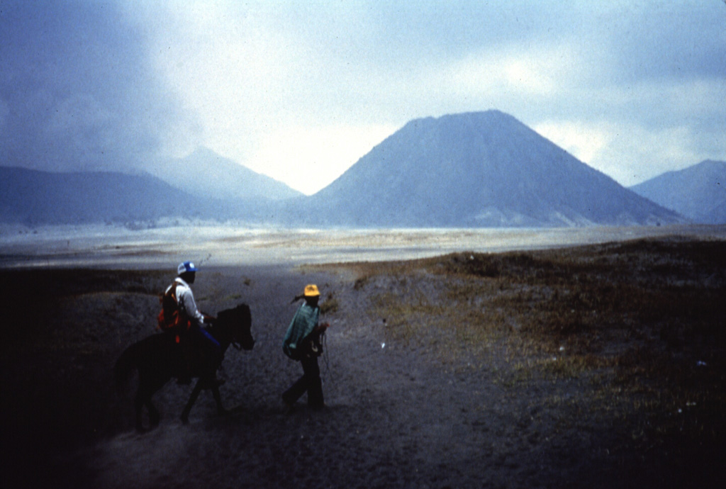Batok (right), a prominent cone on the floor of Tengger caldera, is one of the youngest of the post-caldera cones. Charcoal from a scoria layer on the eastern flank of Batok was radiocarbon dated at about 360 years old. The only younger cone of Tengger caldera is the historically active Bromo, which is producing a cone to the left. Anonymous, 1987.