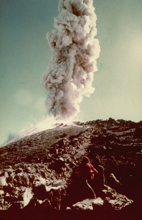 Long-term phreatomagmatic eruptions accompanying formation of a new lava dome on the SE flank of Volcán Nuevo began in 1973.  This photo shows a small explosive eruption on February 21, 1979.   Activity died down in 1983, when intermittent explosions (about one every two months) began.  This continued into 1987, by which time the new cone was about 30 m taller than Volcán Nuevo.  Photo by Oscar González-Ferrán, 1979 (University of Chile).