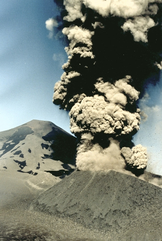 A billowing dark, ash-rich eruption column rises above a cinder cone on the NE flank of Chile's Lonquimay volcano in January 1989.  During the course of an eruption that lasted from December 1988 until January 1990, heavy ashfall blanketed the countryside, causing severe disruption to agricultural areas near the volcano.  The ash was high in fluorine, unusual for Andean volcanoes.  Fluorine poisoning from ash on ingested grass caused the deaths of hundreds of cattle and horses, producing severe economic hardship. Photo courtesy of Hugo Moreno, 1989 (University of Chile).