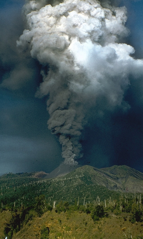The third historical eruption of the Carran-Los Venados volcanic field began with strombolian explosions at 0100 hrs on April 14, 1979.  A 3-4 km high eruption column produced ashfall that covered agricultural lands near the volcano.  A new pyroclastic cone rose at the site of a prehistorical cone.  Lava flowed 1 km to the SSW from the new breached crater in April.  Beginning on May 12, lava flows traveled short distances from the breached crater to the SE and from the crater rim to the NE base of the cone.  The eruption ended on May 20. Photo by Hugo Moreno, 1979 (University of Chile).