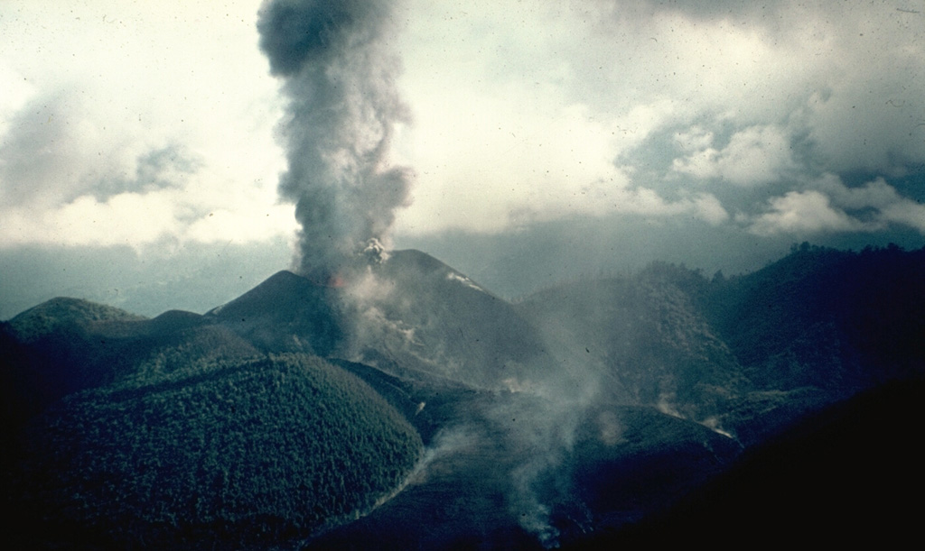 An ash plume rises from Volcan Mirador, a pyroclastic cone that formed during an eruption in 1979.  The Carran-Los Venados volcano group includes about 50 scoria cones, maars, and a small stratovolcano that are broadly aligned along a 17-km-long ENE-WSW trend.  The volcano group occupies a low-lying area north of the Cordón Caulle-Pueyhue volcanic chain.  In addition to the 1979 Mirador scoria cone, two maars, Rininahue and Carran, were formed during eruptions in the 20th century.     Photo by Hugo Moreno, 1979 (University of Chile).