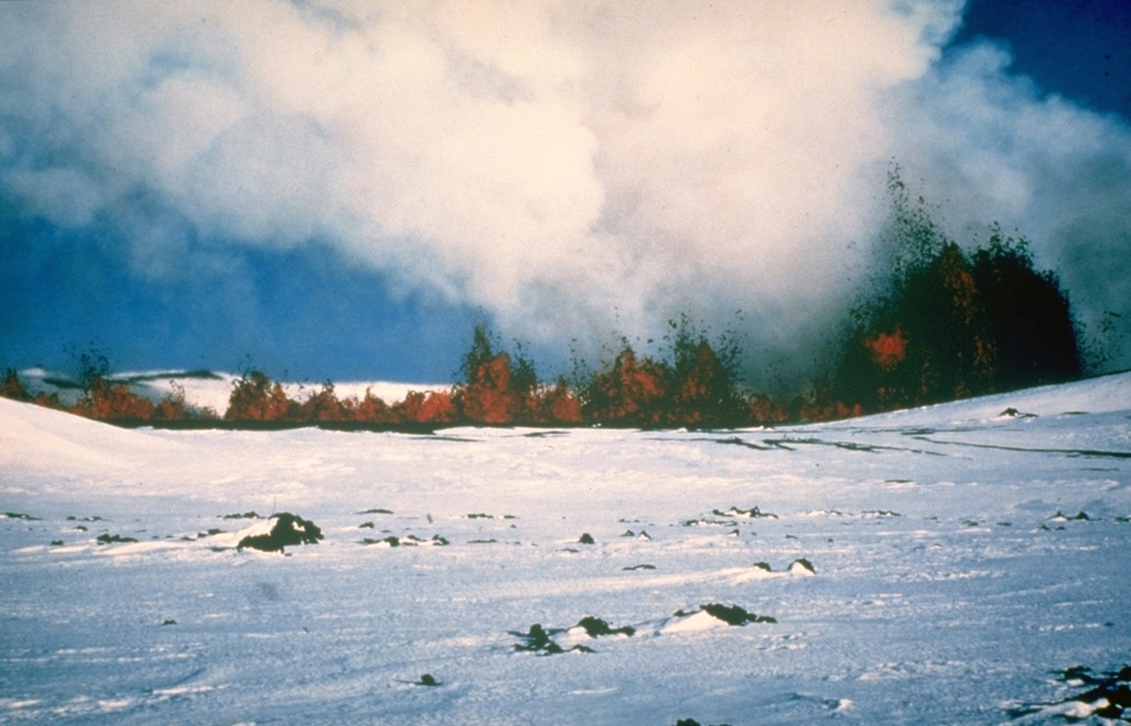 Lava fountains rise above an eruptive fissure cutting the snow-covered floor of Krafla caldera on 16 March 1980. This eruptive episode, the first of four during 1980, lasted only six hours. The fissure was active along a total length of 4.5 km, although the longest continually active segment was 800 m long. Most of the lava effusion took place during the first two hours. Eight separate lava flows were erupted, covering an area of 1.3 km2 to a depth of 2 m. Photo courtesy of Gudmundar Sigvaldason, 1980 (Nordic Volcanological Institute, Reykjavík).