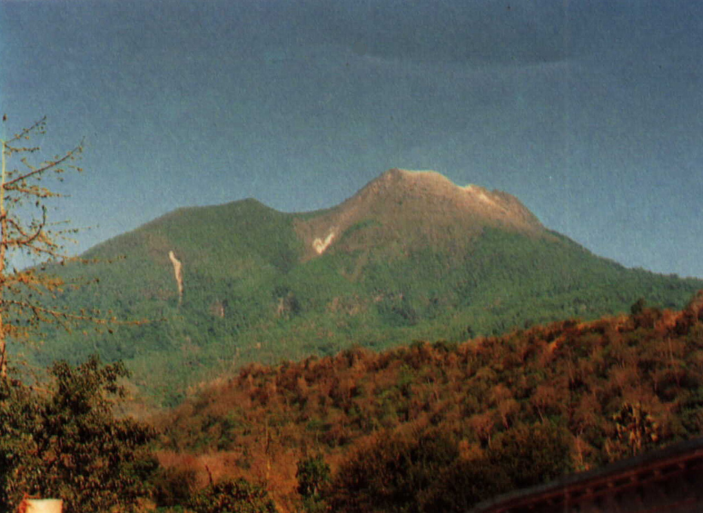 Gunung Egon, seen here from the NW, is located in eastern Flores Island. The lower flanks extend nearly to both the Flores Sea on the N and the Savu Sea to the S. The unvegetated summit of the volcano contains a 350-m-wide crater and there is a lava dome to the S. Photo by Tulus, 1990 (Volcanological Survey of Indonesia).