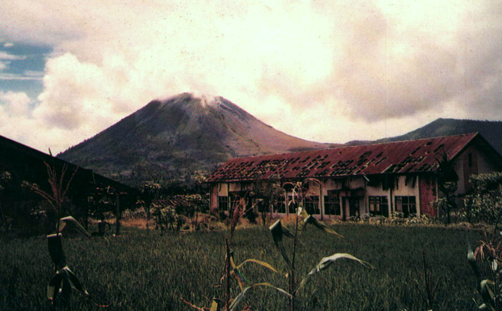 The small conical volcano of Soputan on the southern rim of the Quaternary Tondano caldera is one of Sulawesi's most active volcanoes.  Gunung Soputan is seen here in profile from the east.  During historical time eruptions have originated both from the summit crater and Aeseput (extreme right), a prominent NE flank vent that formed in 1906 and was the source of intermittent major lava flows until 1924.     Photo by Willem Rohi, 1988 (Volcanological Survey of Indonesia).