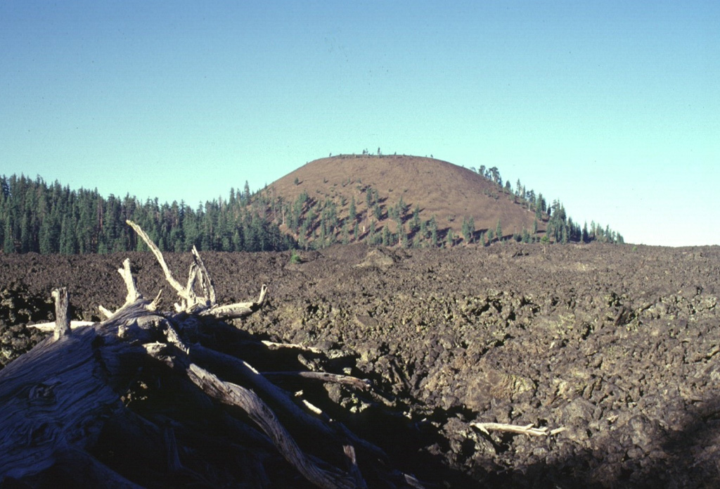 The andesitic Burnt Lava flow covering about 37 km2 of the SE flank of Medicine Lake volcano was erupted from the High Hole Crater cinder cone.  The Burnt Lava flow was the largest from Medicine Lake during the Holocene and had a volume of 0.45 cu km.  The symmetrical High Hole Crater contains a double summit crater.  The Burnt Lava flow, which was erupted from both High Hole Crater and adjacent fissures, surrounded two older cinder cones, one of which forms the forested ridge at the left. Photo by Lee Siebert, 1998 (Smithsonian Institution).