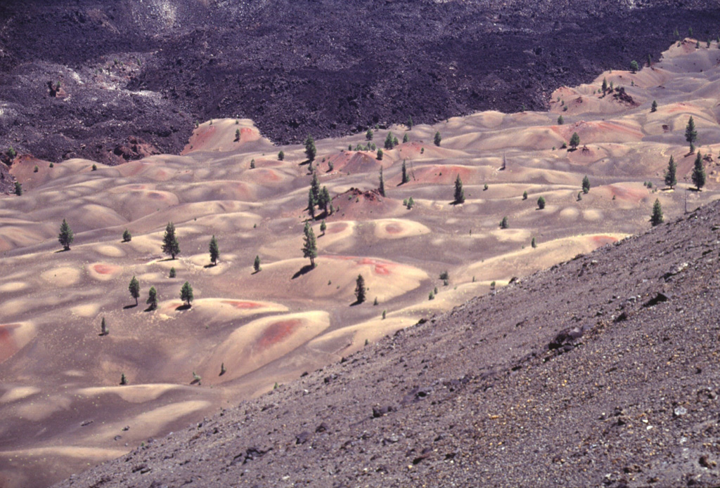 The colorful Painted Dunes at Cinder Cone in NE Lassen Volcanic National Park were formed when ash deposits from Cinder Cone were oxidized by a still-hot underlying lava flow.  The mounded surface of the ash reflects the irregular topography of the underlying Painted Dunes lava flow.  A black ash-free lava flow, also erupted from Cinder Cone at a later date during the same eruption, can be seen at the top of the photo. Photo by Lee Siebert, 1998 (Smithsonian Institution).